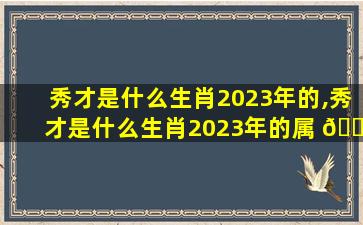 秀才是什么生肖2023年的,秀才是什么生肖2023年的属 🐺 相